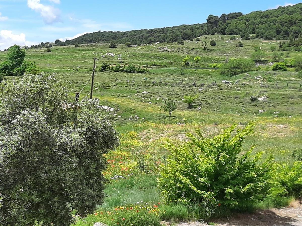 Casa Rural "Eccehomo De Borja" Εξωτερικό φωτογραφία