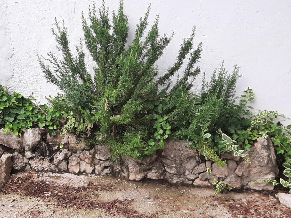 Casa Rural "Eccehomo De Borja" Εξωτερικό φωτογραφία