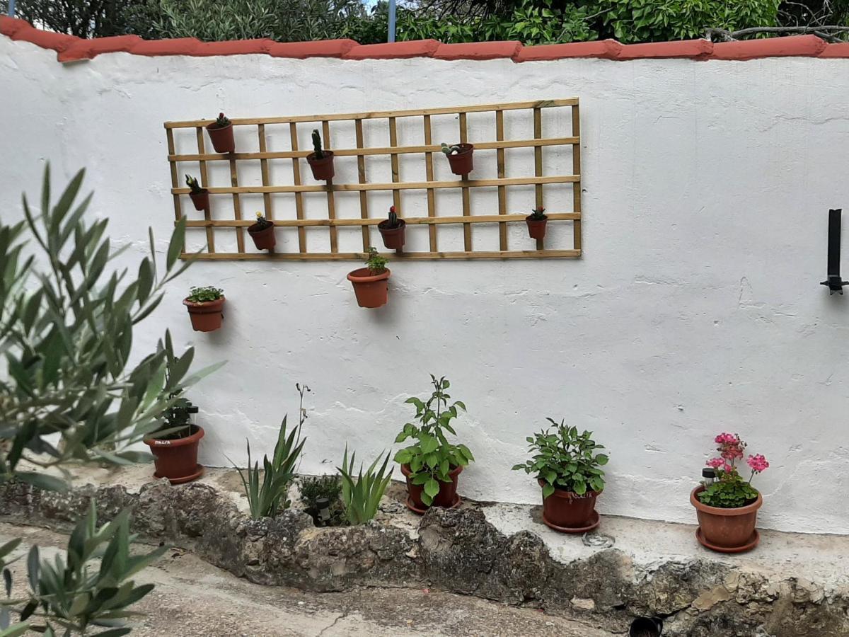 Casa Rural "Eccehomo De Borja" Εξωτερικό φωτογραφία