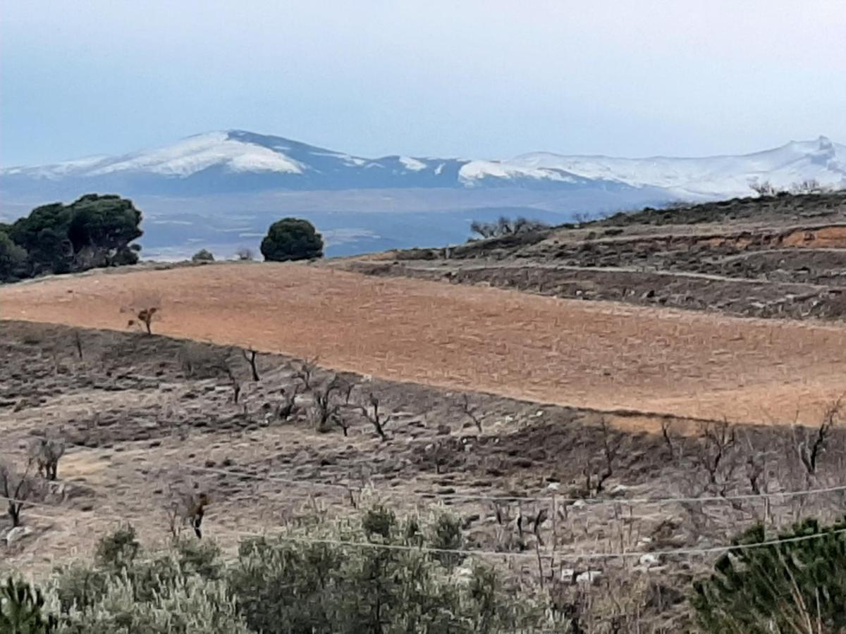 Casa Rural "Eccehomo De Borja" Εξωτερικό φωτογραφία